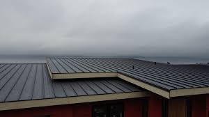 Best Sheet Metal Roofing  in Cedar Hill, TX